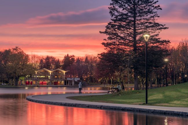 «Cinéma sous les étoiles» au parc du Mont-Royal